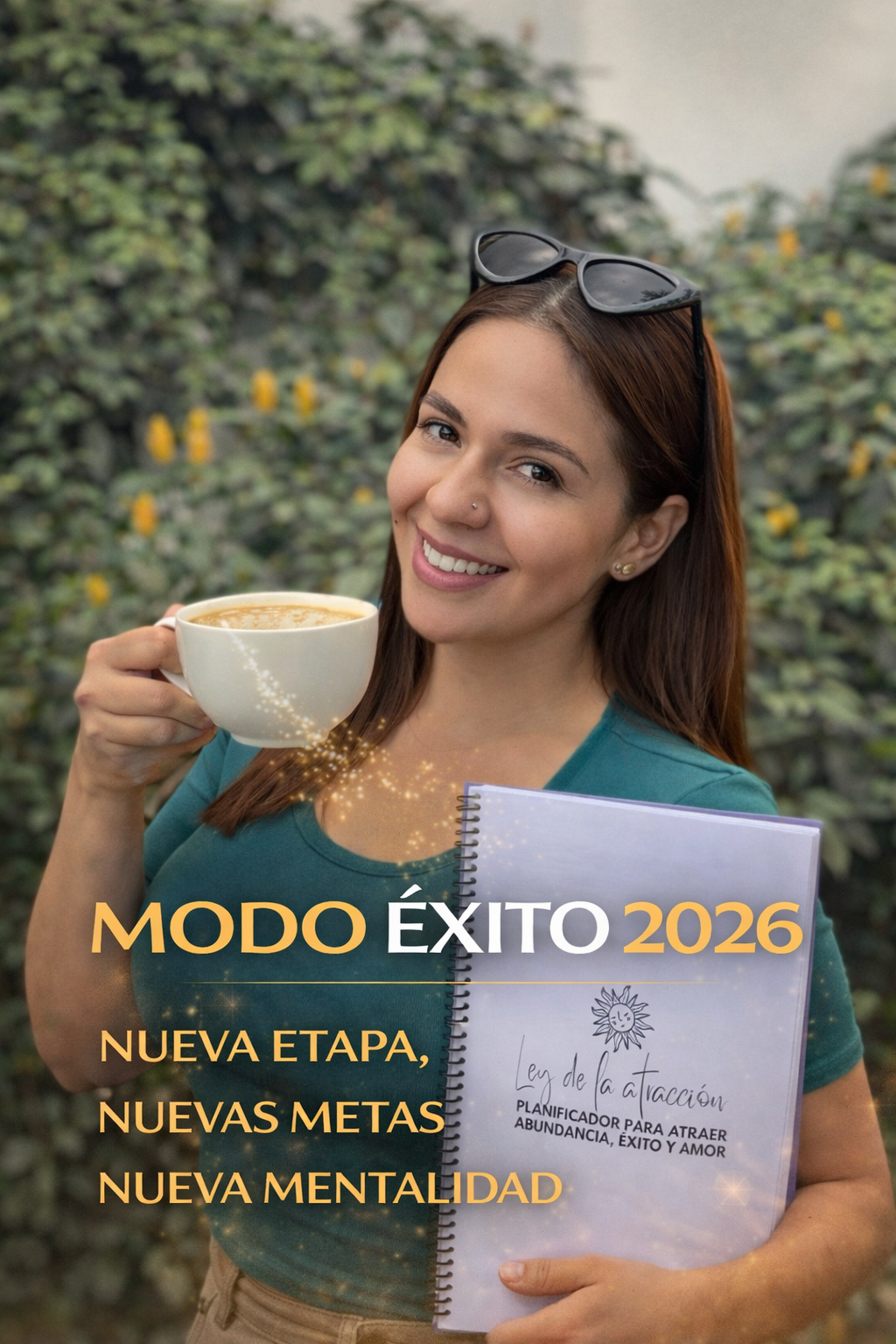 Planificador Ley de atracción